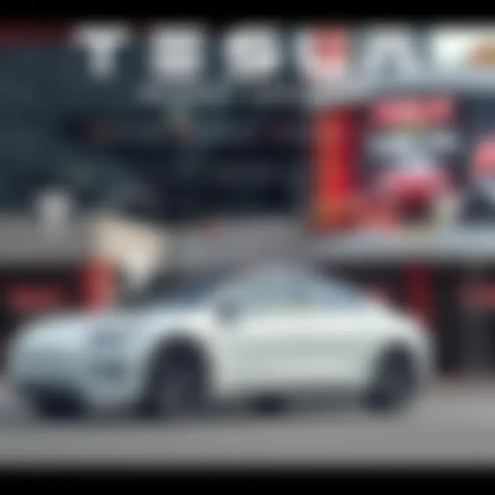 Diagram illustrating factors influencing Tesla's market position and investment risks in the automotive and energy sectors